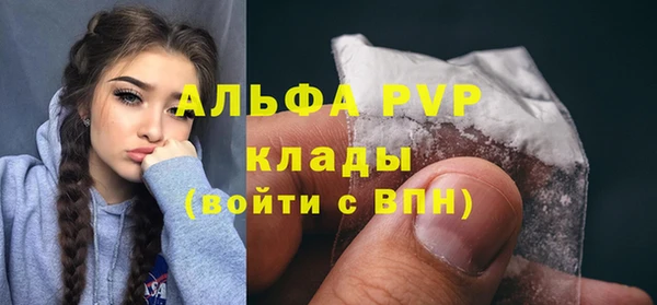 сатива Богородск
