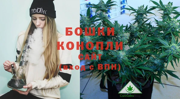 сатива Богородск