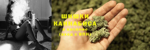 сатива Богородск