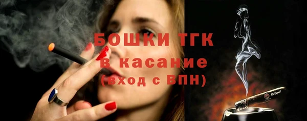 сатива Богородск