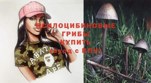 ешки Богданович