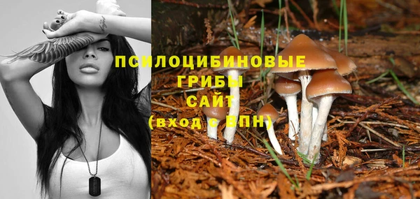 ешки Богданович