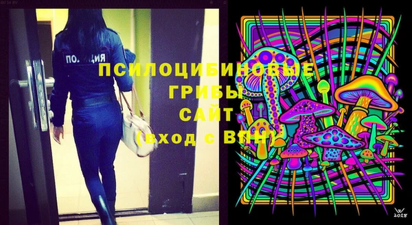 ешки Богданович