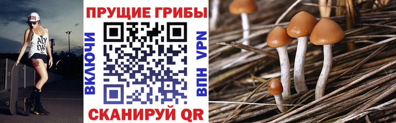 Псилоцибиновые грибы мухоморы  Нестеров 
